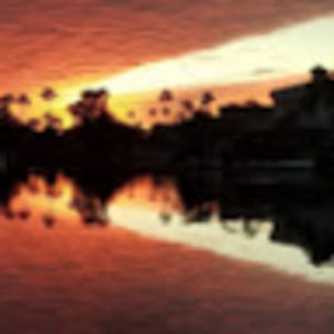 Meet your Posher, Robyn